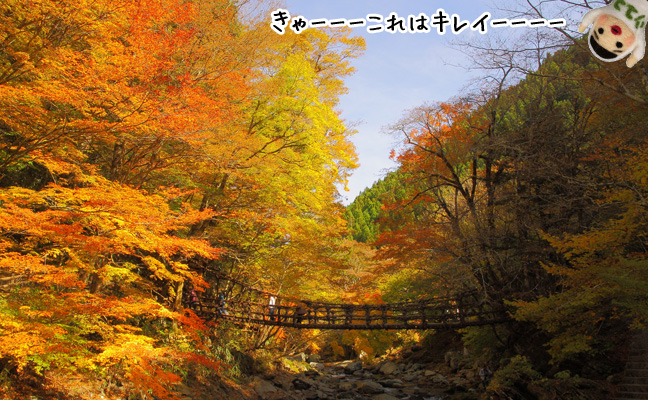 紅葉かずら橋