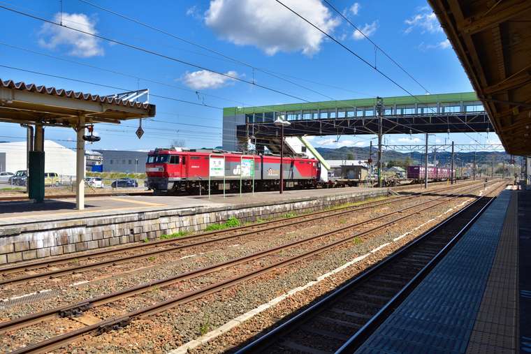 秋田県大館市 秋田犬ツーリズム