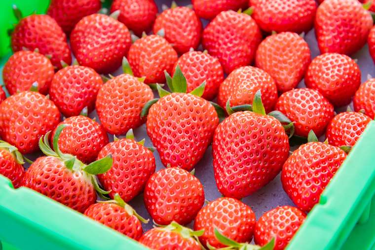 今井浜東急ホテル 今井浜アリイパンケーキ