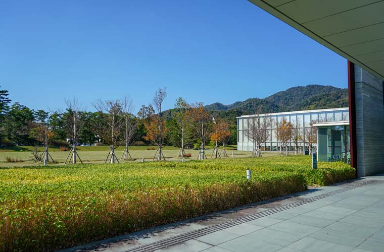 古代出雲歴史博物館