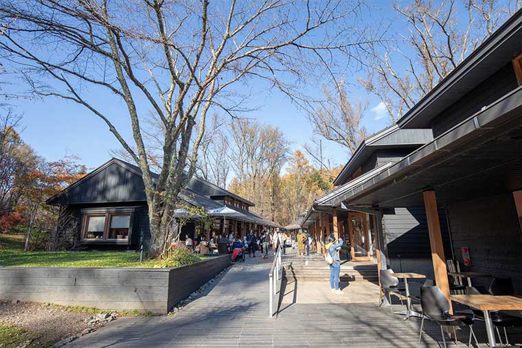 軽井沢星野エリア　ハルニレテラス