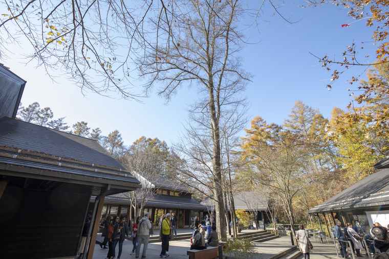 軽井沢星野エリア　ハルニレテラス