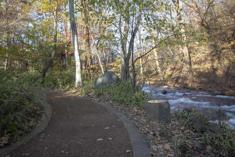 軽井沢星野エリア　ウッドチップの遊歩道