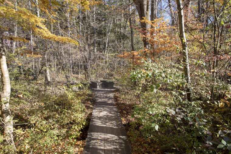 軽井沢星野エリア　ハルニレテラス内はウッドデッキ