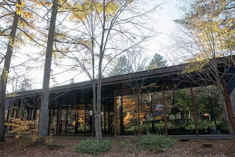 軽井沢星野エリア　村民食堂