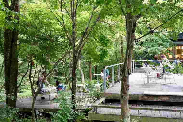 ハルニレテラス