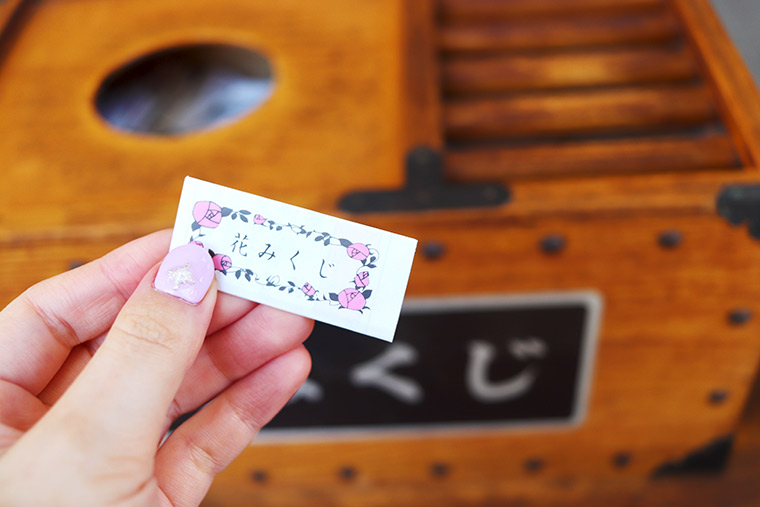 亀戸香取神社の花みくじ