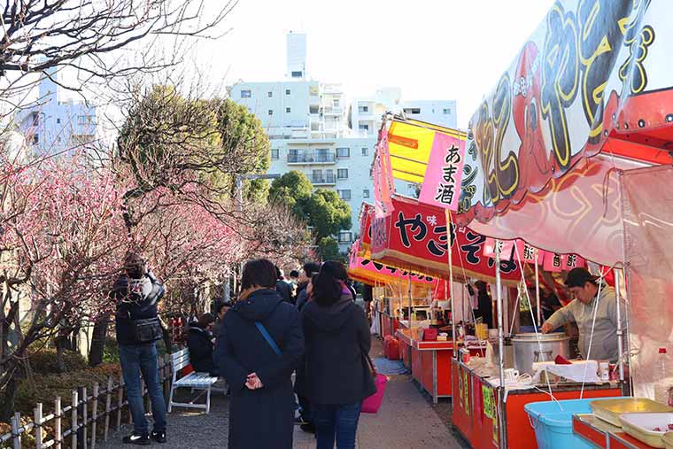亀戸天神社の梅まつり