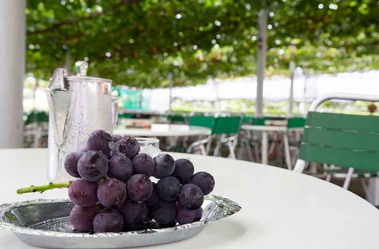 勝沼ぶどう郷　古寿園