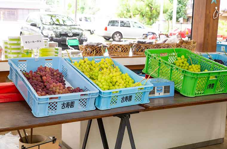 勝沼ぶどう郷　古寿園