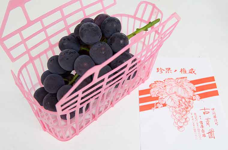 勝沼ぶどう郷　古寿園の量り売りぶどう