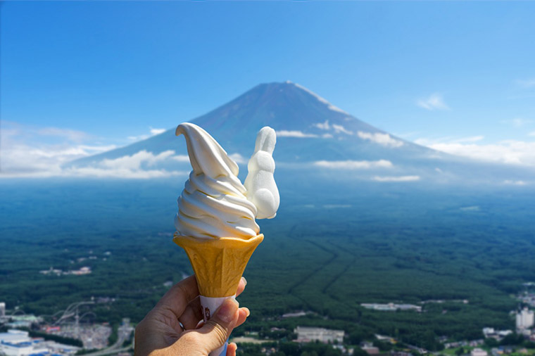 たぬき茶屋のうさぎソフト