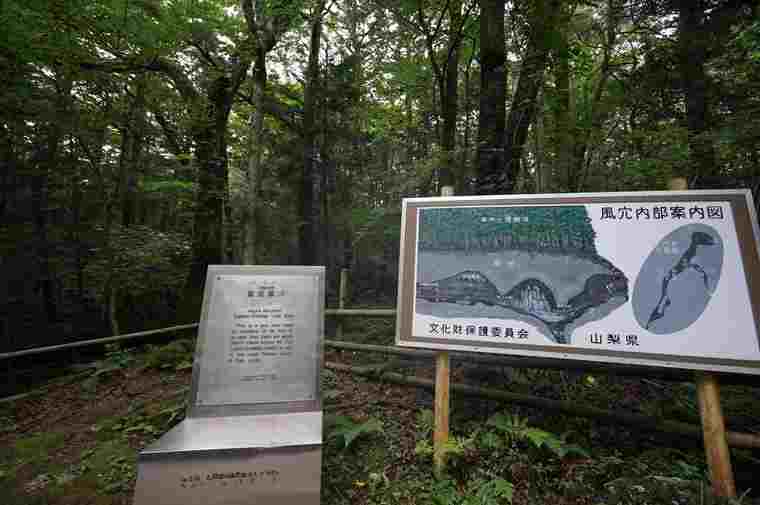 富岳風穴の内部案内図