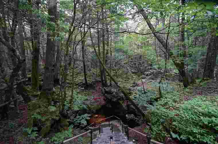 富岳風穴の入り口