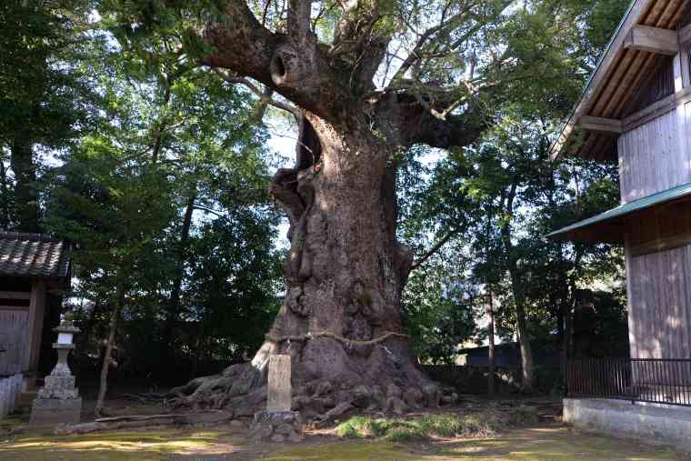 川津来宮神社