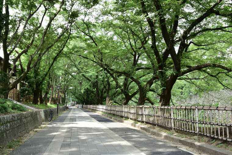 金シャチ横丁　お堀沿いの風景