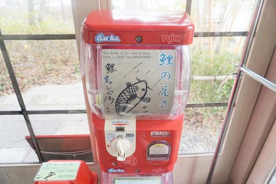 水辺のカフェテラス