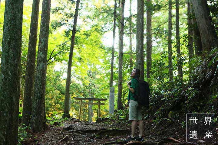 熊野本宮大社の神域の入口とされる発心門王子から古道歩きをスタート