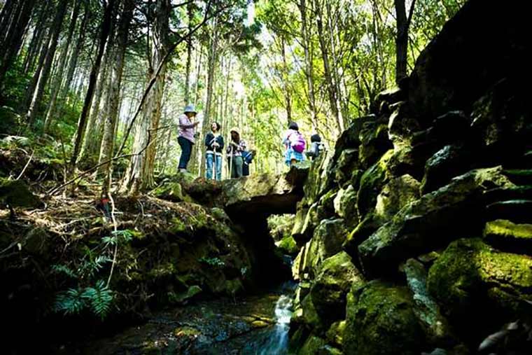 熊野古道　熊野倶楽部　熊野古道ツアー