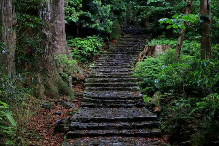 世界遺産の熊野古道