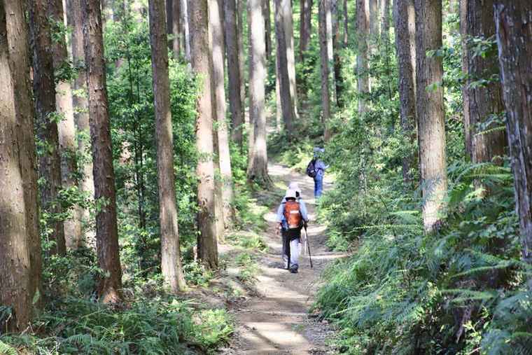 熊野古道 参拝