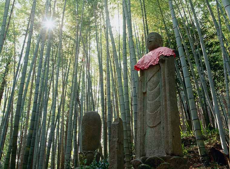 伊勢路・松本峠