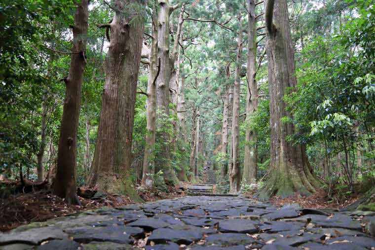 紀伊山地の霊場と参詣道として世界遺産に登録されている