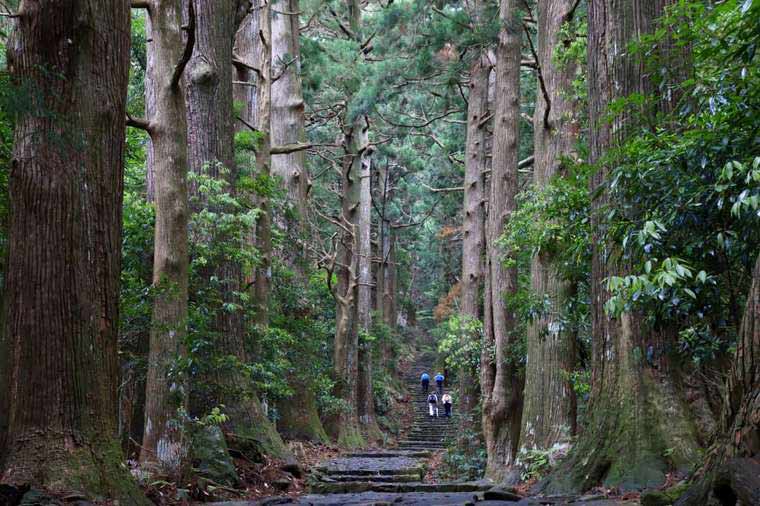 熊野古道の天気は変わりやすい