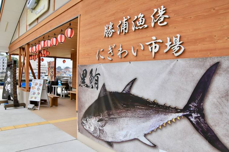 勝浦漁港　「にぎわい市場」