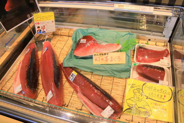 勝浦漁港「にぎわい市場」　「もち鮪」