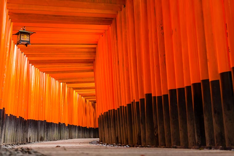 伏見稲荷大社 千本鳥居