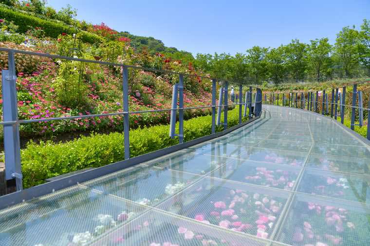 ラグーナテンボス　ラグナシア　フラワーラグーン