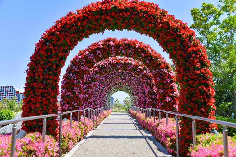 ラグーナテンボス　ラグナシア　フラワーラグーン