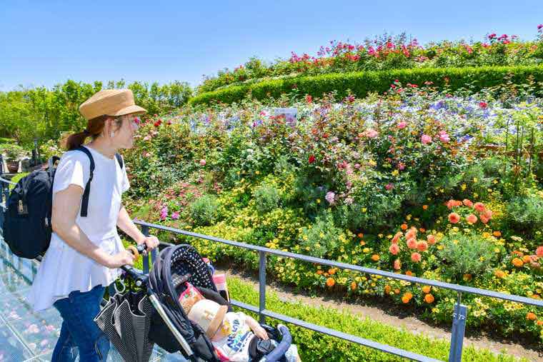 ラグーナテンボス　ラグナシア　フラワーラグーン