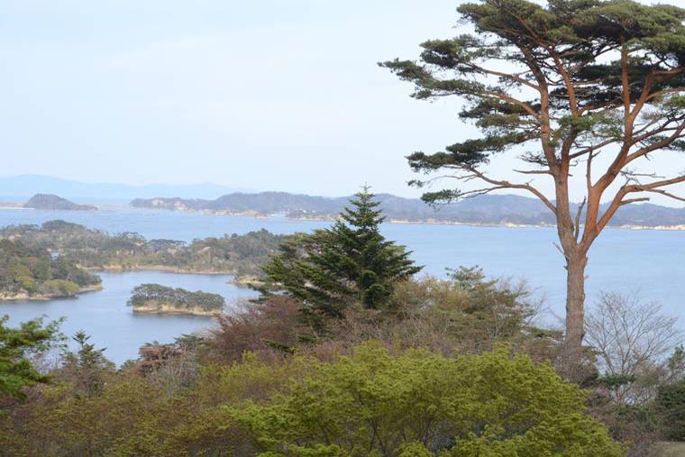 松島 展望台 西行戻しの松公園