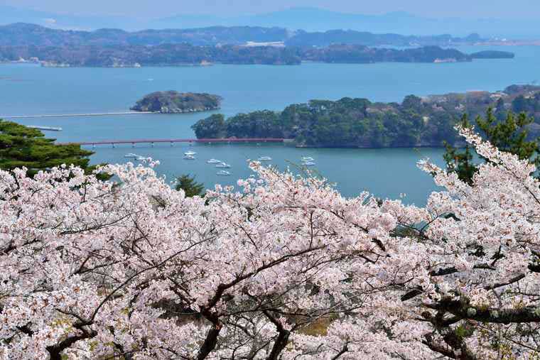松島 展望台 西行戻しの松公園