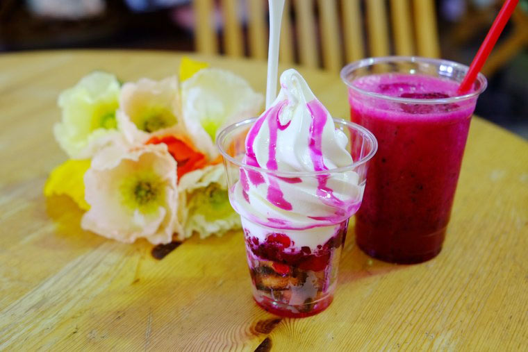 千葉県 南房総 館山ファミリーパーク ドラゴンフルーツジュース