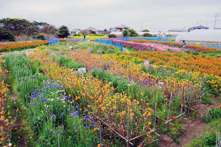 「フローラルビレッジ名倉」