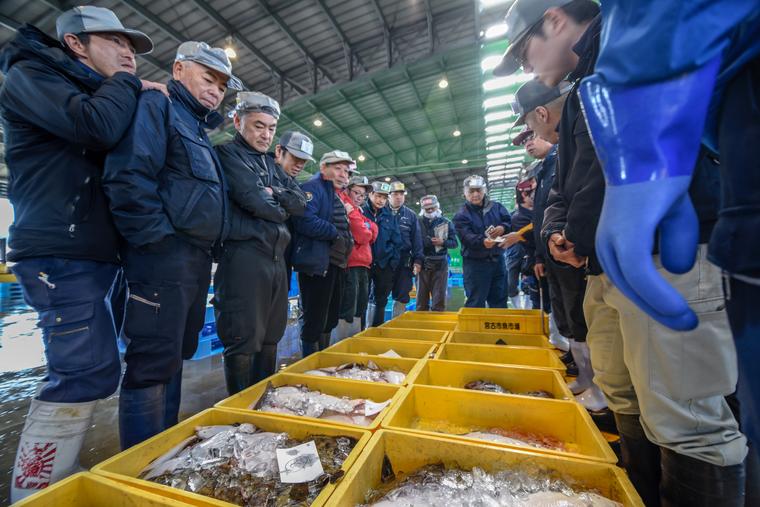 三陸沖は世界三大漁場のひとつ