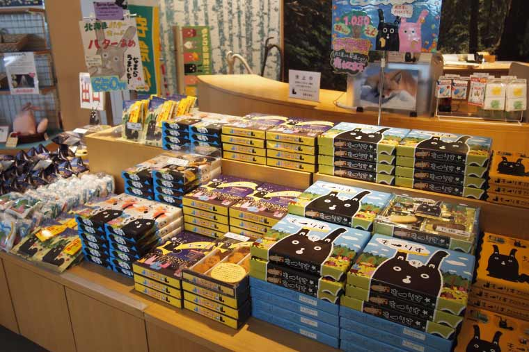 藻岩山　もいもいのお店　もーりすグッズ