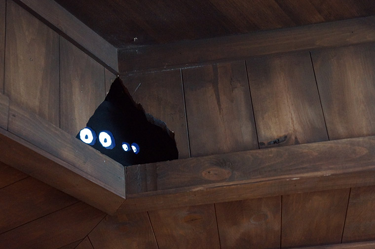 天井の隙間に何かが潜んでいる