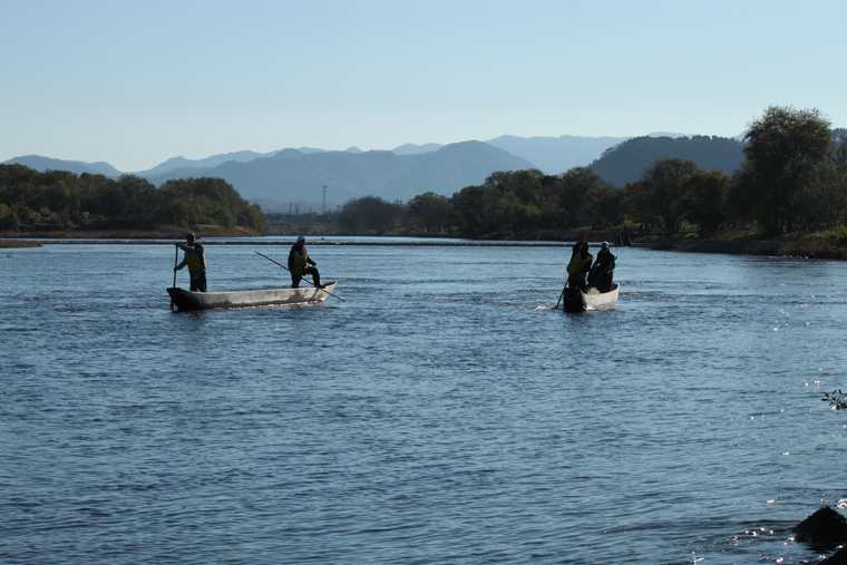 新潟県村上市　居繰網漁