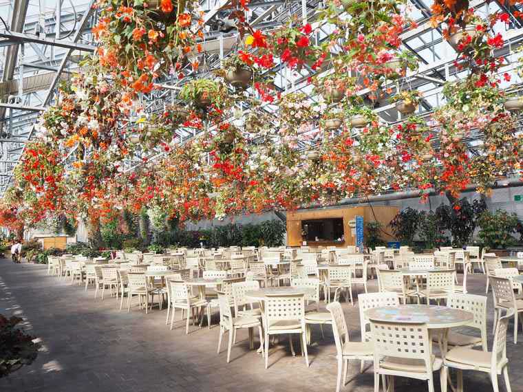 なばなの里 ベコニアガーデン ガーデンカフェ