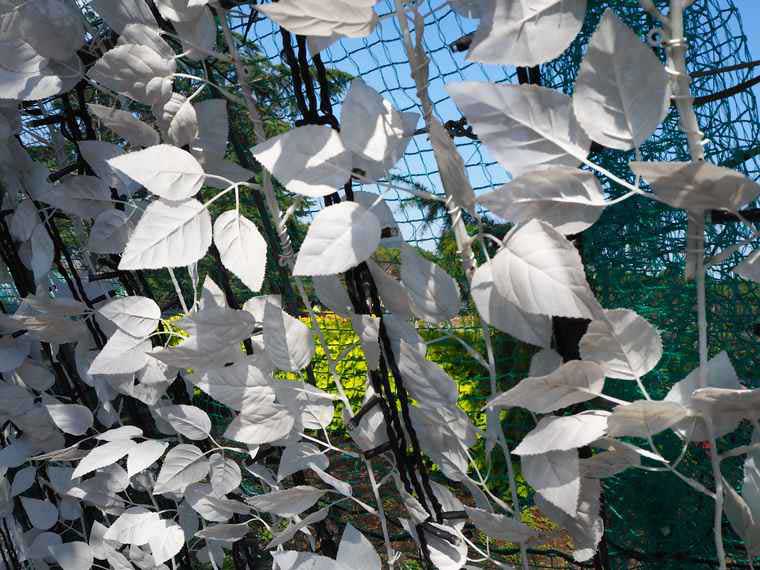 なばなの里 イルミネーション 2019