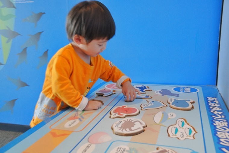 食物連鎖の仕組みを学べるパズル