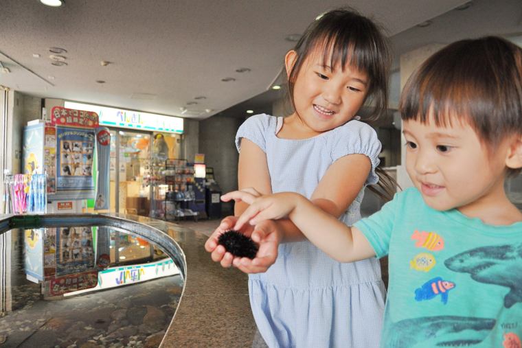 チクチクが癖になる