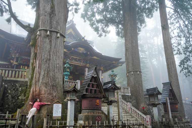 秩父 三峯神社 神木