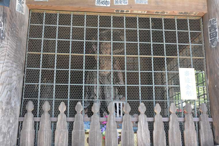 成田山新勝寺のおすすめ参拝コース