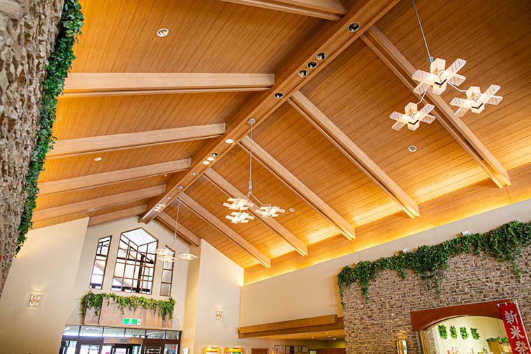 ベルナティオ 天井