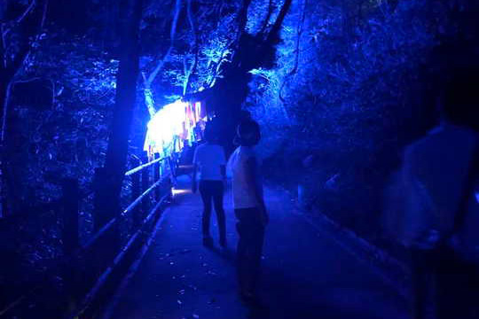 ニジゲンノモリ